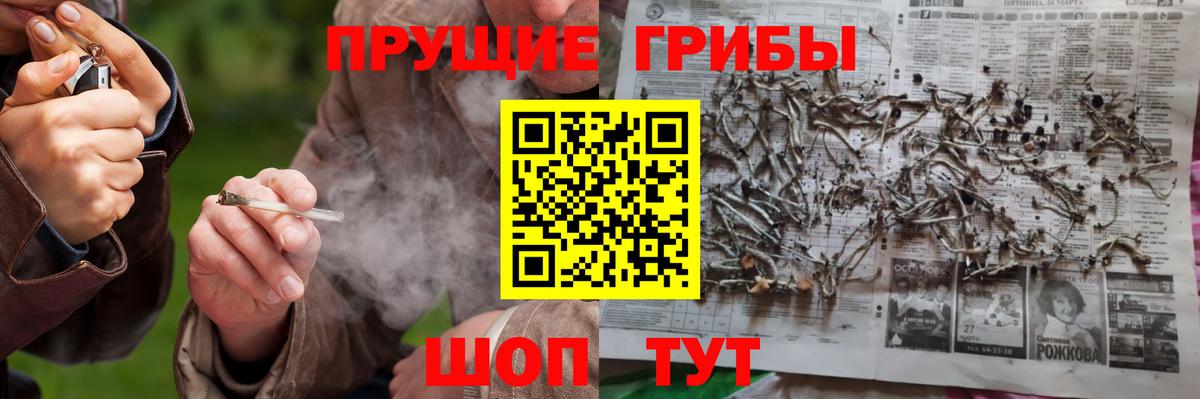Димитровград  наркота  Вход с VPN  Псилоцибиновые грибы мицелий 
